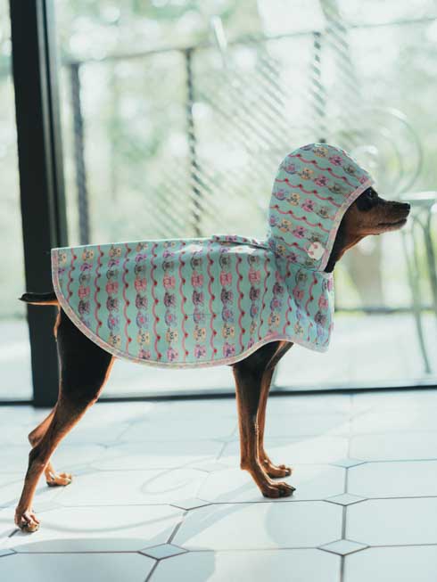 MARLEY RAE | レインコート - ミントティーカップ(犬用 / Mサイズ