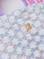 �A�b�v�摜 - ���x���_�[�p�X�e���t�����[���̃g�[�g�o�b�O