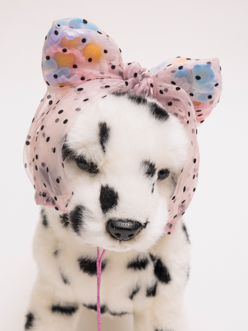 ���������p���ԓ���X�k�[�h