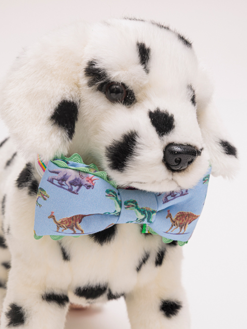 �������p���l�N�^�C- �T�b�N�X�_�C�i�\�[