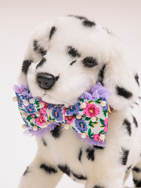 ���������p���l�N�^�C- �z���C�g�t�����[