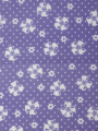 DETAIL摜